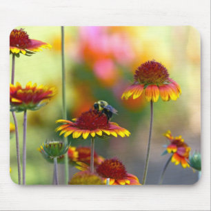 Bee on Gaillardia Mouse Pad