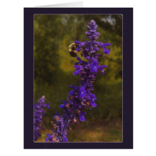 bee on lavender