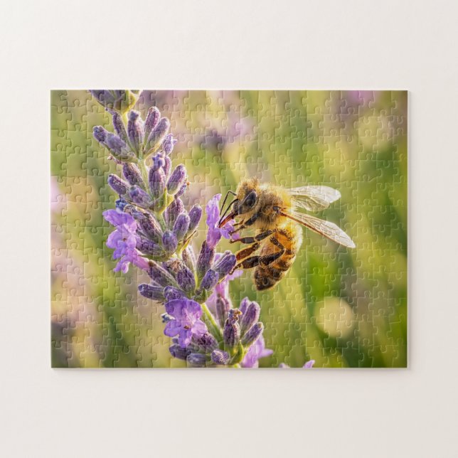 Bee on Lavender Jigsaw Puzzle (Horizontal)