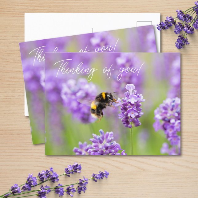 Bee On Lavender Thinking Of You Postcard (Creator Uploaded)