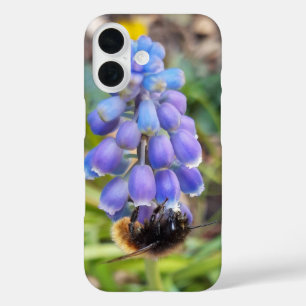 Bee on Muscari Armeniacum , Grape Hyacinth iPhone 16 Case