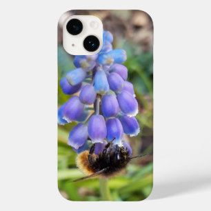 Bee on Muscari Armeniacum , Grape Hyacinth Case-Mate iPhone 14 Case
