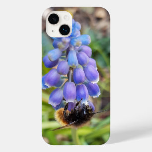 Bee on Muscari Armeniacum , Grape Hyacinth Case-Mate iPhone 14 Plus Case