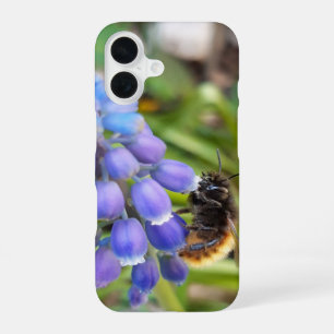 Bee on Muscari Armeniacum , Grape Hyacinth iPhone 16 Case