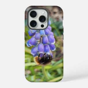 Bee on Muscari Armeniacum , Grape Hyacinth iPhone 15 Pro Case