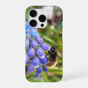 Bee on Muscari Armeniacum , Grape Hyacinth iPhone 16 Pro Case