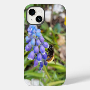 Bee on Muscari Armeniacum , Grape Hyacinth iPhone 14 Case