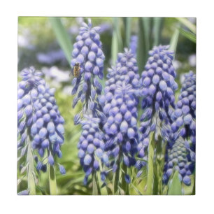 Bee On Muscari Flowers Ceramic Tile