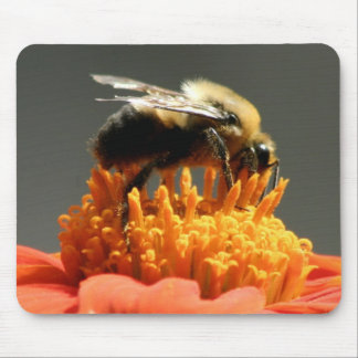 Bee on Orange Flower Mouse Pad