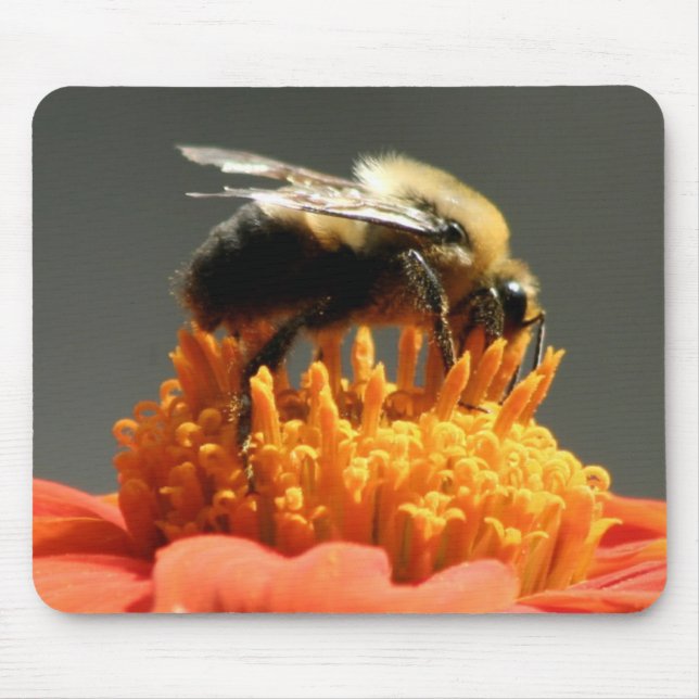 Bee on Orange Flower Mouse Pad (Front)