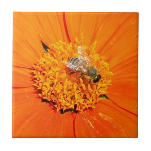 bee on orange tile (Front)