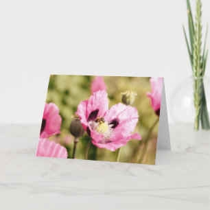 Bee On Pink Poppy Note Card