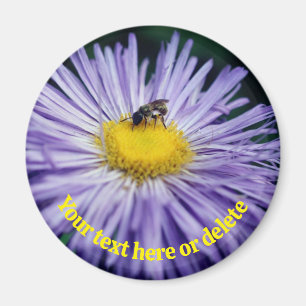 Bee On Purple Daisy Flower Personalized Magnet