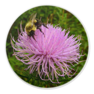 Bee on Thistle Flower Nature Ceramic Knob