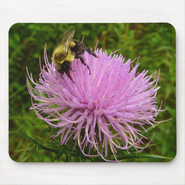 Bee on Thistle Flower Nature Mouse Pad (Front)