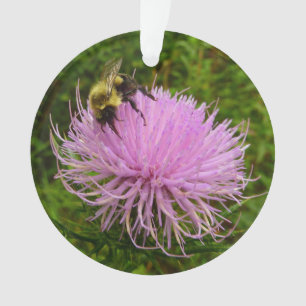 Bee on Thistle Flower Nature Ornament