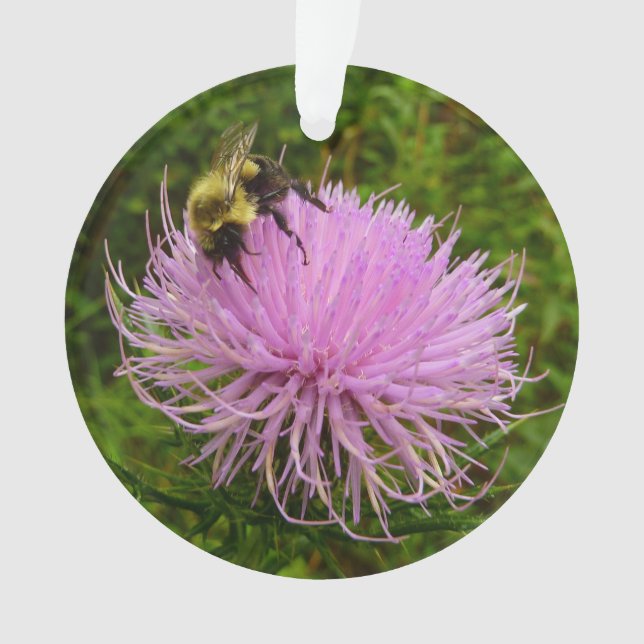 Bee on Thistle Flower Nature Ornament (Front)