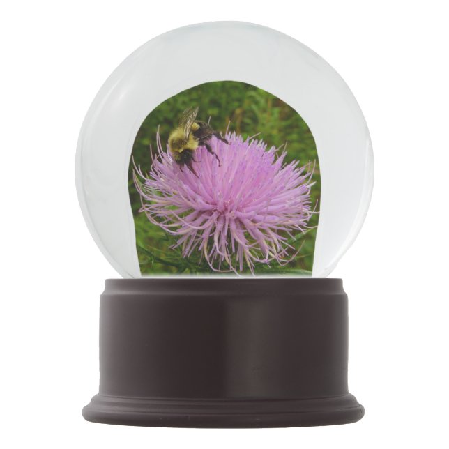 Bee on Thistle Flower Nature Snow Globe (Front)