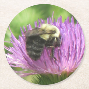 Bee On Thistle Party Coaster