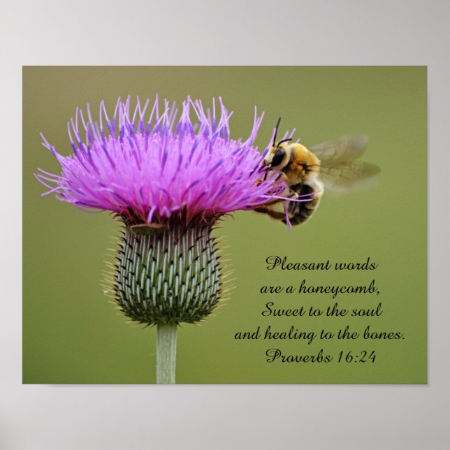 Bee on Thistle Scripture Photographic Art Print (Front)