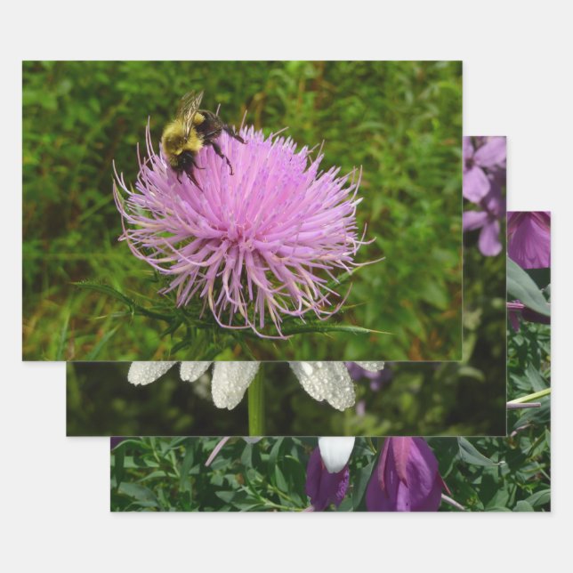 Bee on Thistle Wrapping Paper Sheet (Set)