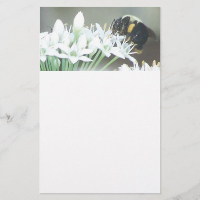 Bee on White Blossoms Stationery (Front)