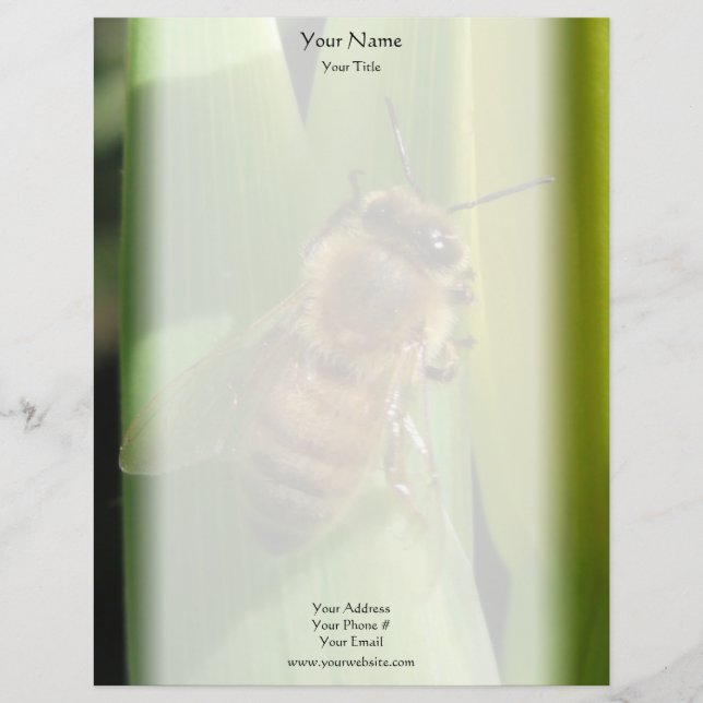 Bee on White Flower Letterhead (Front)