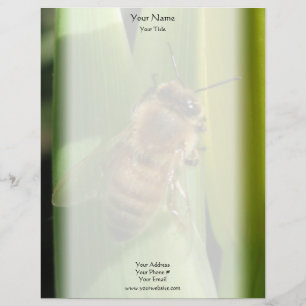 Bee on White Flower Letterhead Design