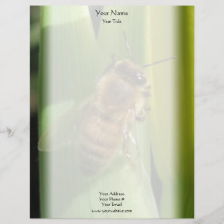 Bee on White Flower Letterhead Design