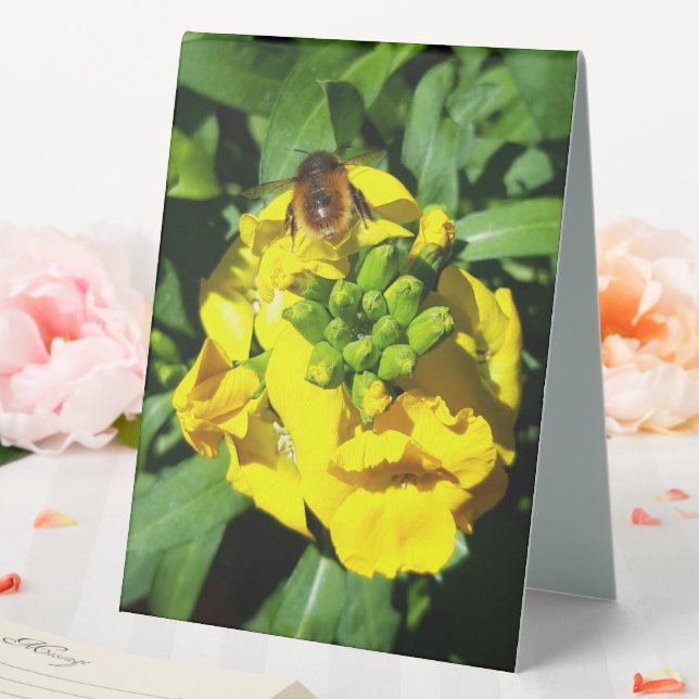 Bee on Yellow Flowers (In SItu (Wedding))