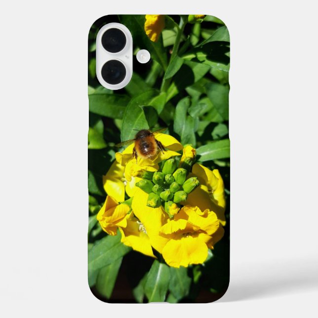 Bee on Yellow Flowers Case-Mate iPhone Case (Back)