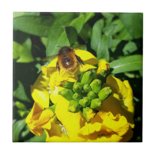 Bee on Yellow Flowers Ceramic Tile