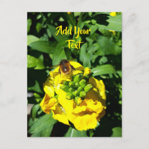 Bee on Yellow Flowers Postcard