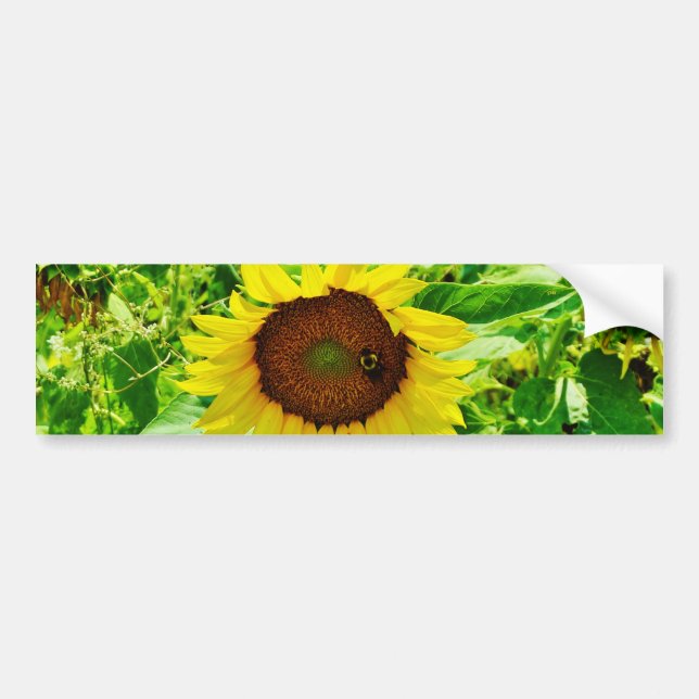 Bee on yellow Sunflower Bumper Sticker (Front)
