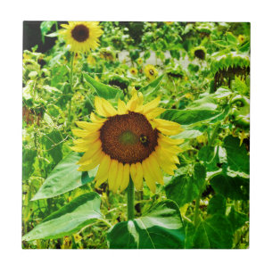 Bee on yellow Sunflower Ceramic Tile