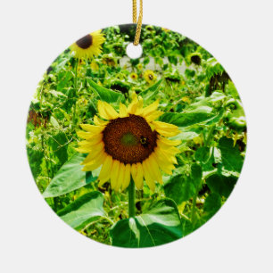 Bee on yellow Sunflower Ceramic Tree Decoration