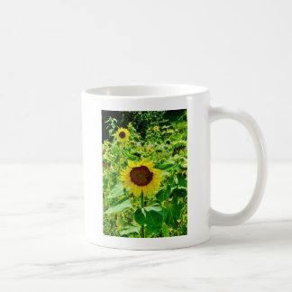 Bee on yellow Sunflower Coffee Mug