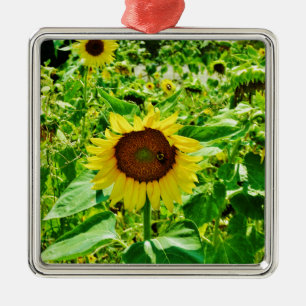 Bee on yellow Sunflower Metal Ornament
