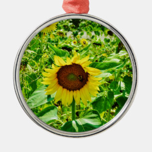 Bee on yellow Sunflower Metal Tree Decoration