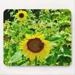 Bee on yellow Sunflower Mouse Pad