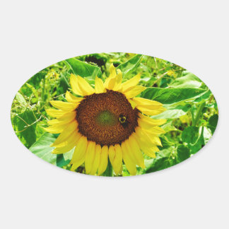 Bee on yellow Sunflower Oval Sticker