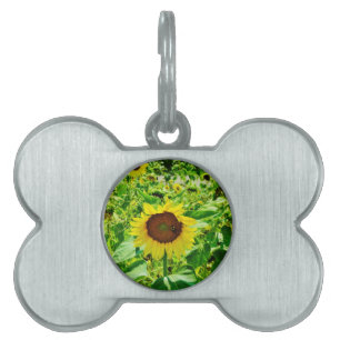 Bee on yellow Sunflower Pet Name Tag