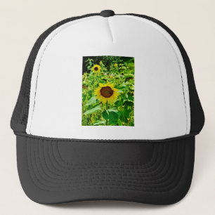 Bee on yellow Sunflower Trucker Hat