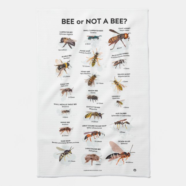 Bee or Not a Bee Tea Towel (Vertical)
