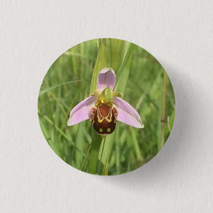 Bee Orchid Flower 3 Cm Round Badge
