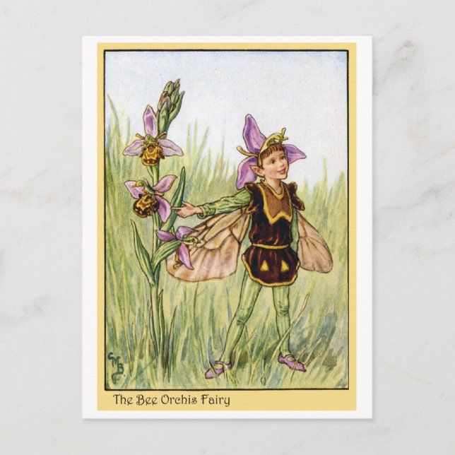 Bee Orchis Fairy Postcard (Front)
