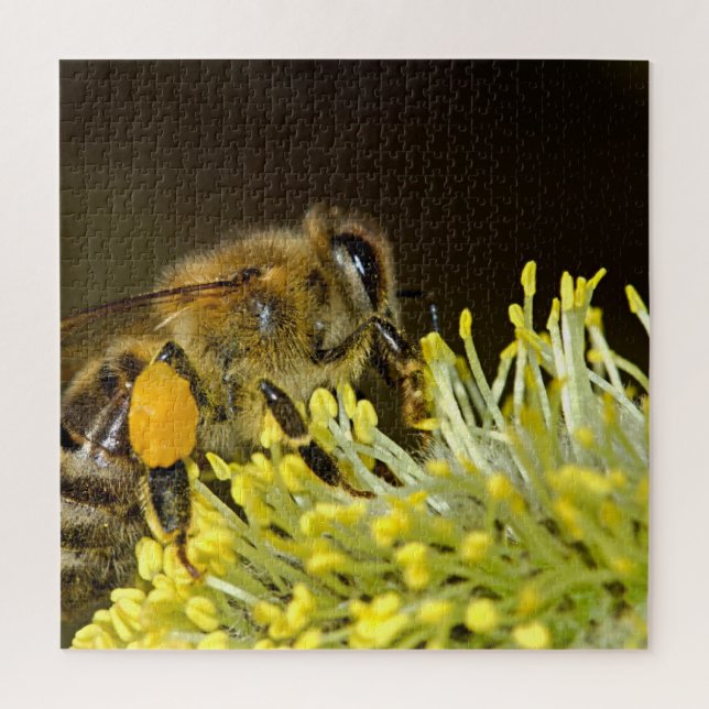 Bee Pollinating Flower Jigsaw Puzzle (Vertical)