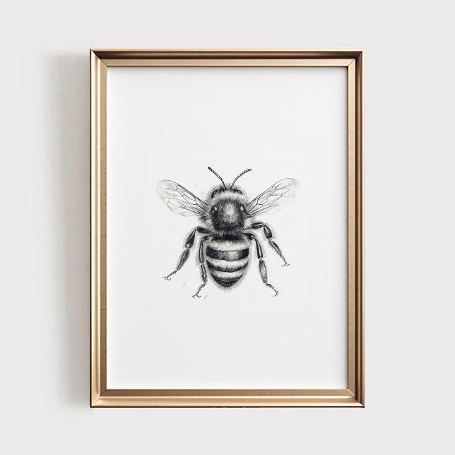 Bee Print, PRINTABLE Wall Art, Honey Bee Sketch Poster (Creator Uploaded)