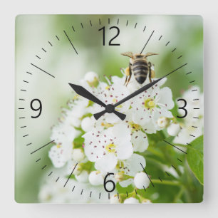 Bee sitting on a spring flower square wall clock
