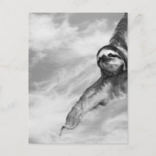 bee & sloth postcard